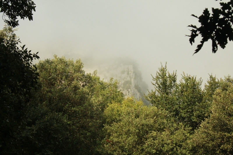 Village Camps International Summer Camp Ard&egrave;che, France 2019-07-26 https://www.villagecamps.com/journals_admin/images/654-34-25-07-2013.jpg lossless (1).jpg